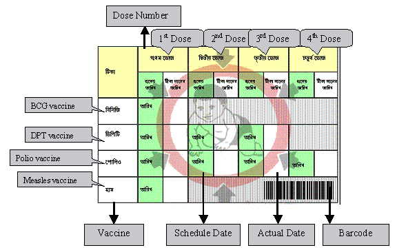 Child Vaccination Chart